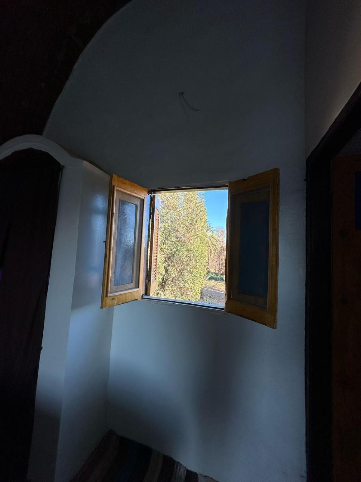 Nubian King Otel Asvan Dış mekan fotoğraf
